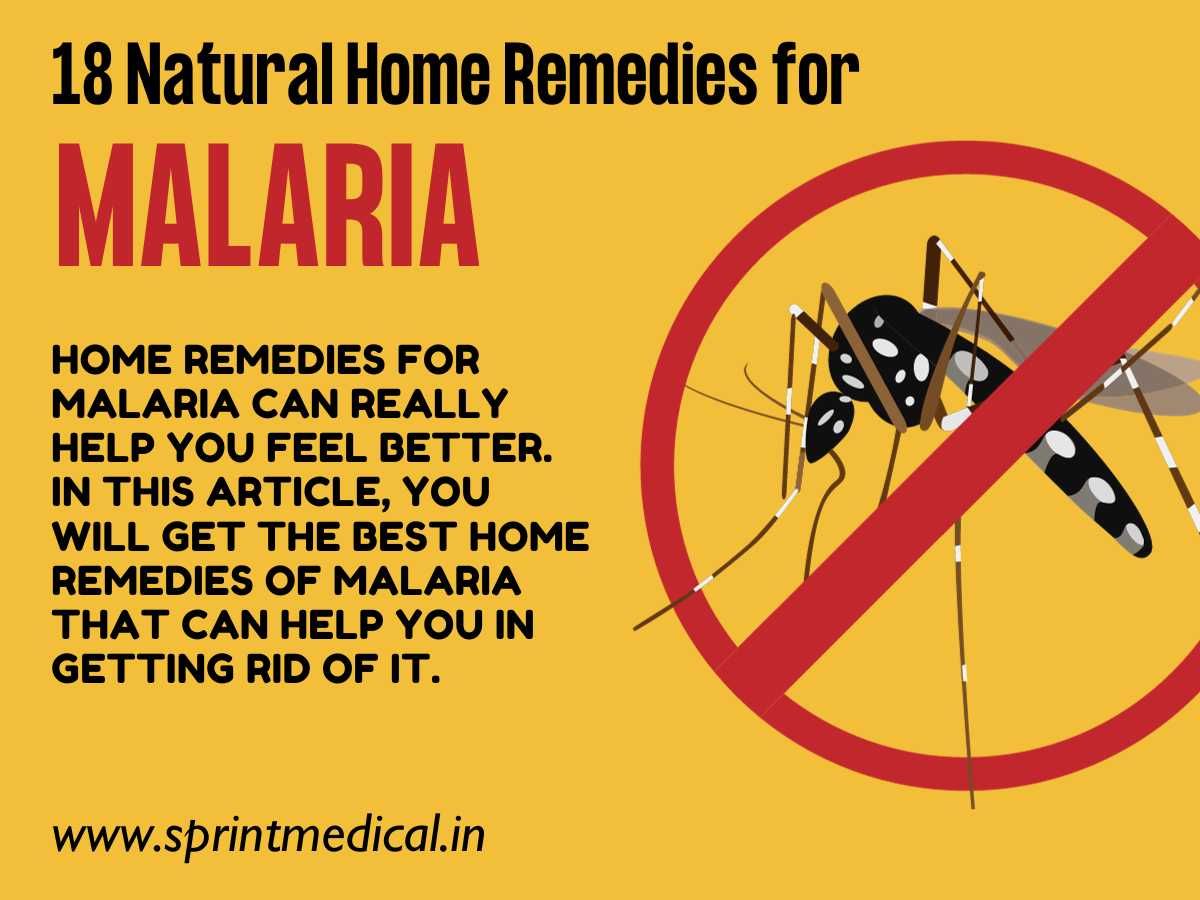 18-Natural-Home-Remedies-for-Malaria.jpg