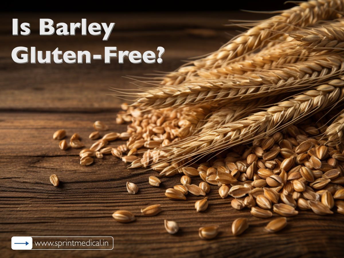 Barley-s-Nutritional-Value-Feature-Image.jpg
