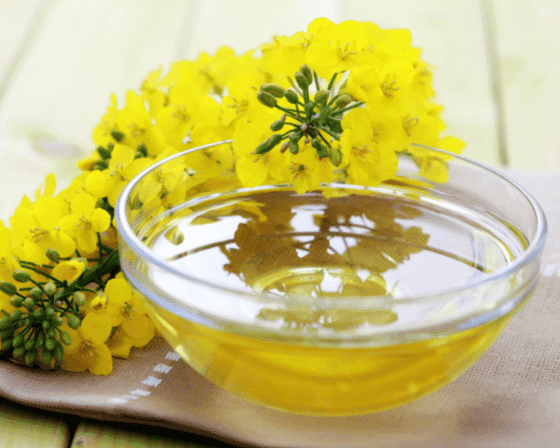 Canola-oil-photo.png