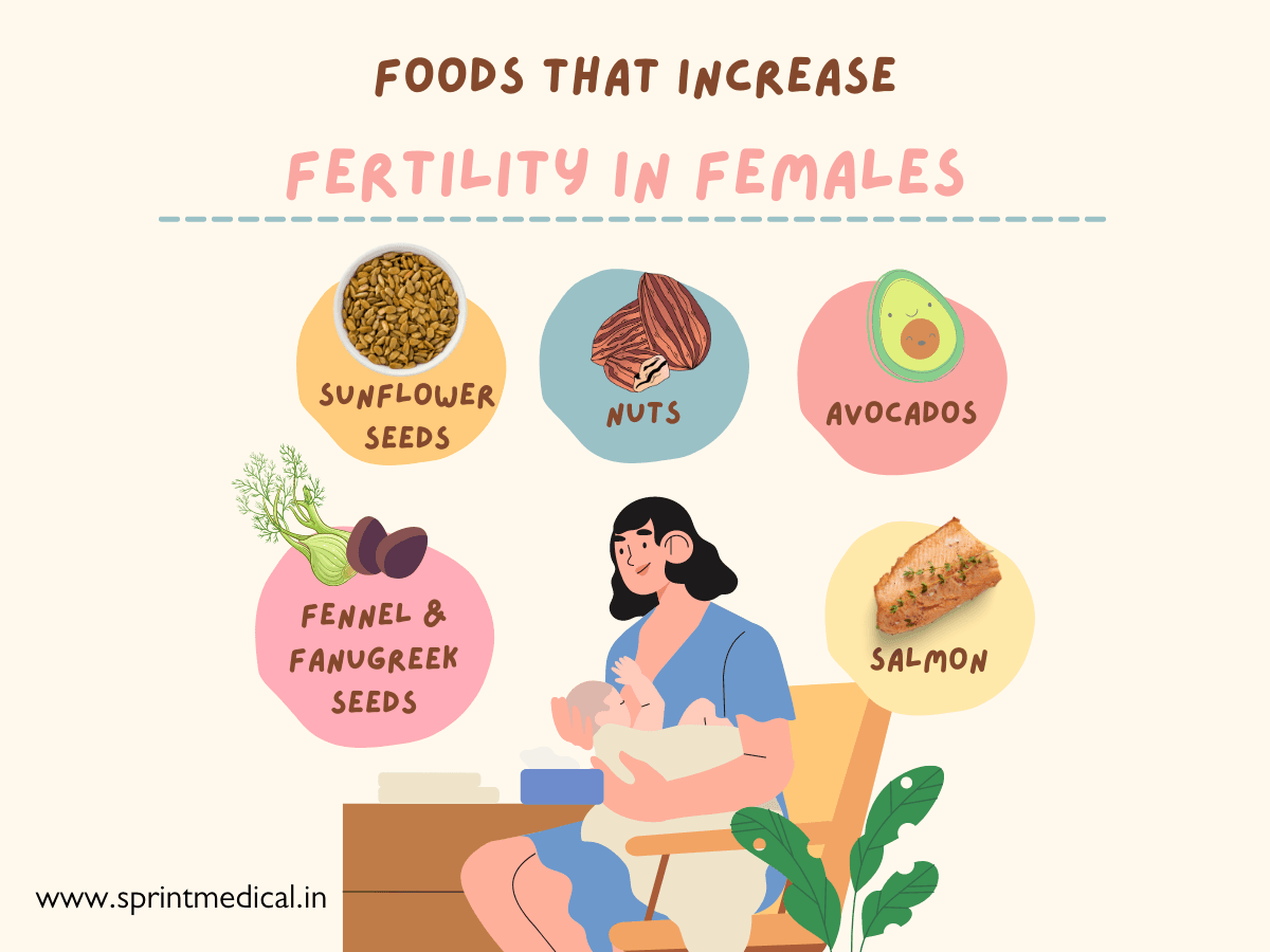 Foods-that-increase-fertility-in-female.png