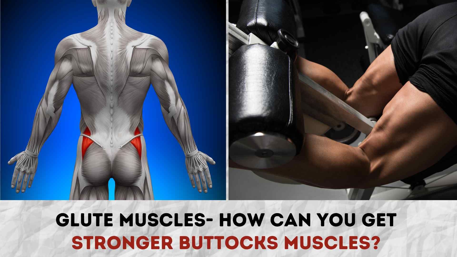 Glute-Muscles-How-can-you-get-Stronger-Buttocks-Muscles.jpg
