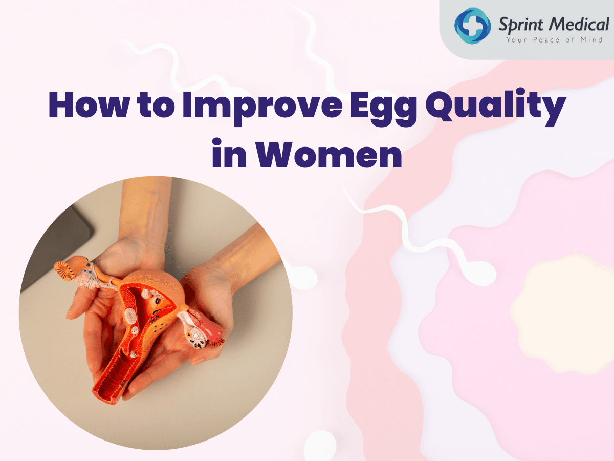 How-to-Improve-Egg-Quality-in-Women.png