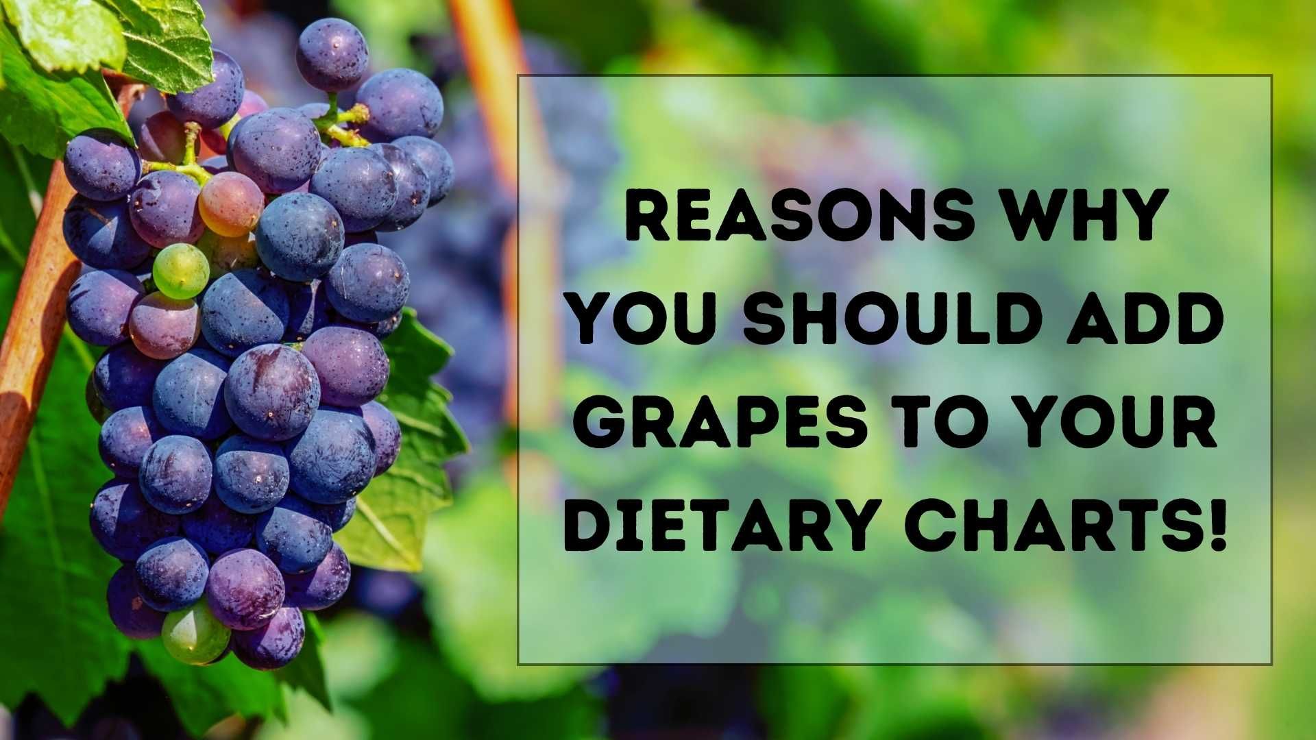 Reasons-why-you-should-add-Grapes-to-your-Dietary-Charts.jpg