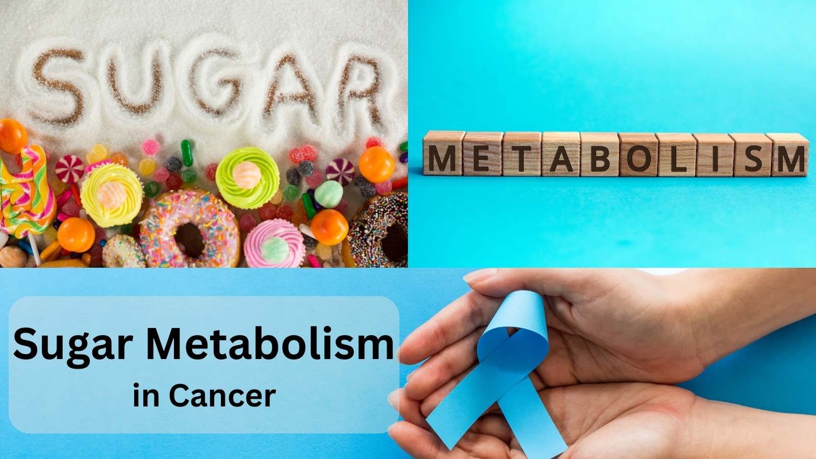 Sugar-Metabolism-is-Typical-in-Cancer.jpg