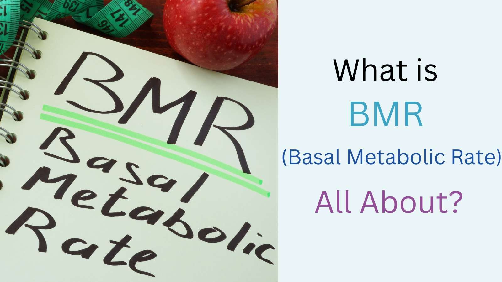 What-is-BMR.jpg