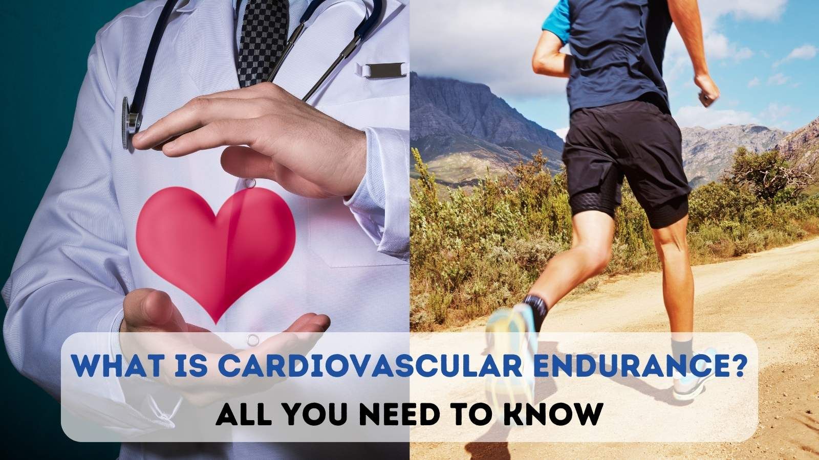 What-is-Cardiovascular-Endurance.jpg